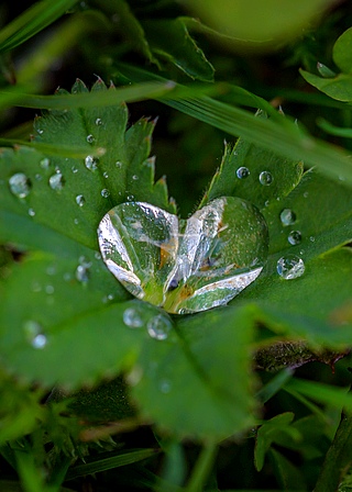 Composer avec ses émotions, Vacances en famille, Développement personnel